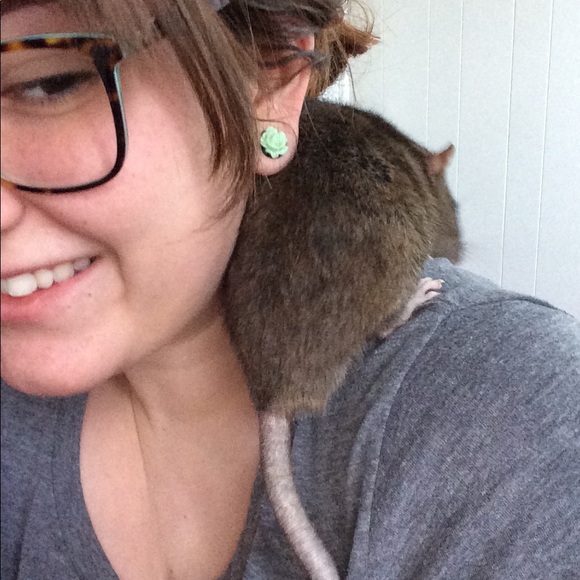 Meet your Posher, Tiffany - Picture 3 of 5